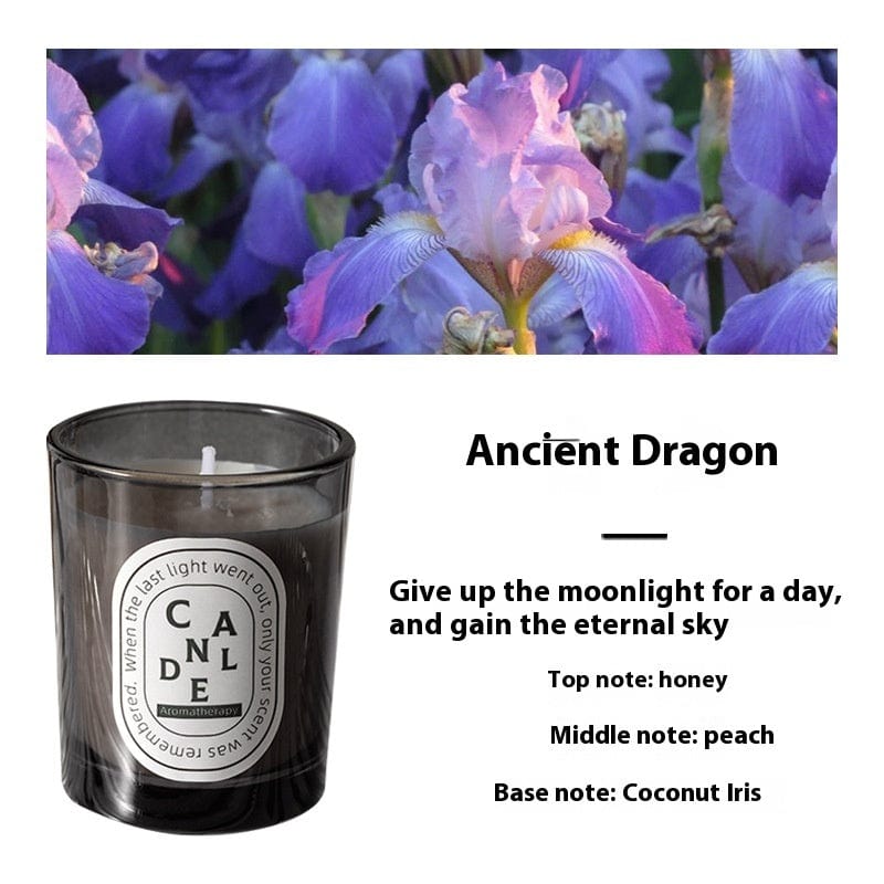 This & That Store Candles Cologne Fragrance Gray Aromatherapy Colored Candle Glass