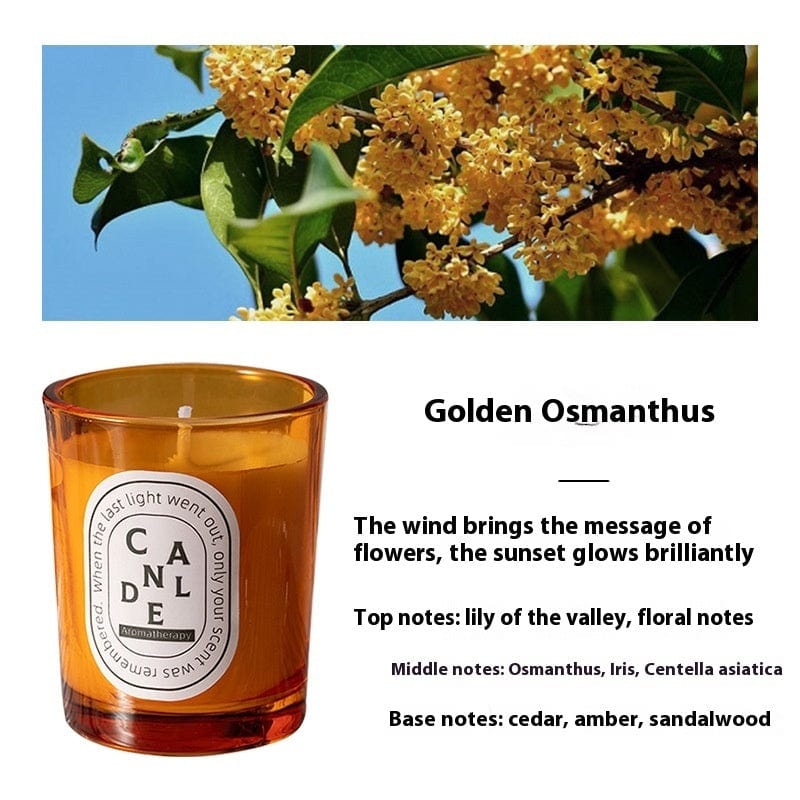 This & That Store Candles Osmanthus Fragrans Orange Aromatherapy Colored Candle Glass