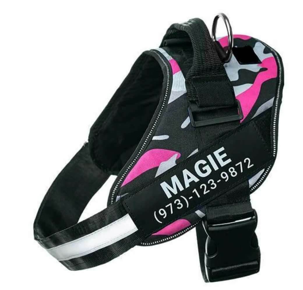 Reflective Breathable Dog Harness NO PULL Vest With Patch (Adjustable) - This & That Store