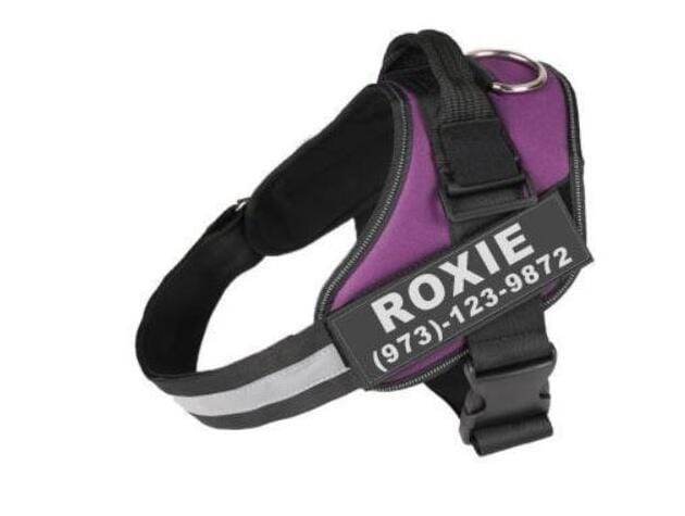 Reflective Breathable Dog Harness NO PULL Vest With Patch (Adjustable) - This & That Store