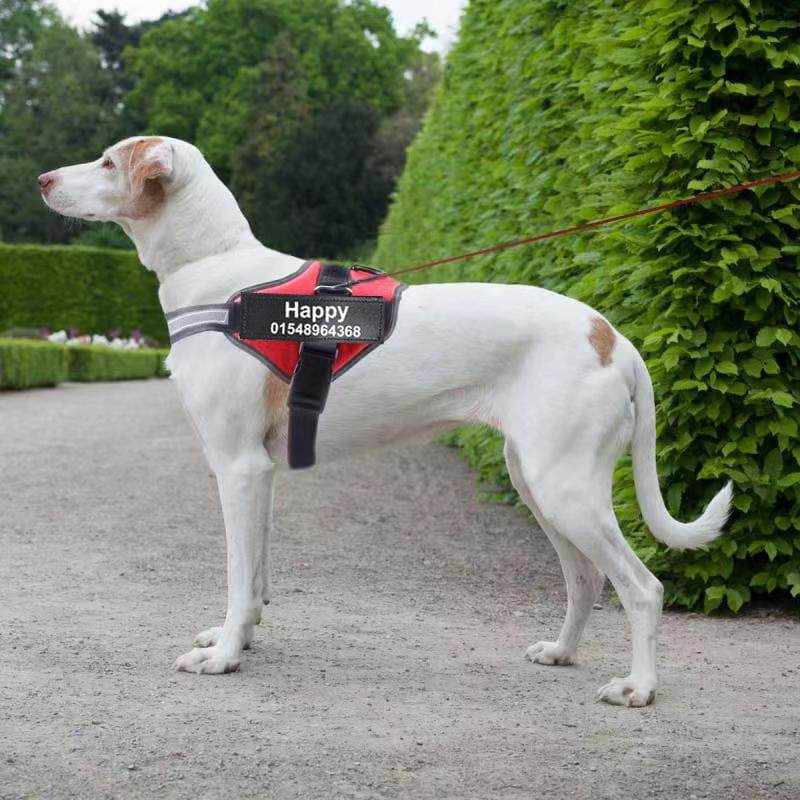 Reflective Breathable Dog Harness NO PULL Vest With Patch (Adjustable) - This & That Store