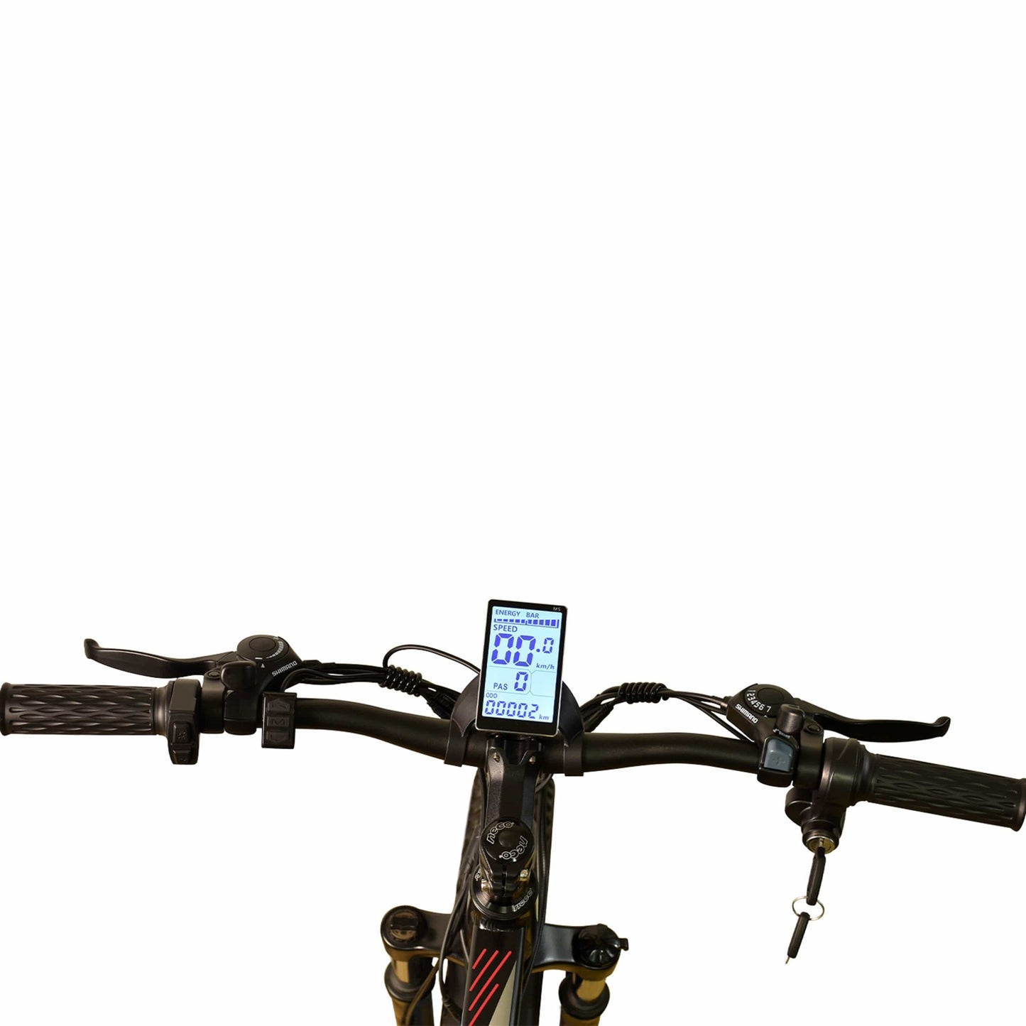 This & That Store eBike Ebike,1000W Motor,48V13Ah Battery,26 Inches,Maximum Speed 45KM