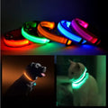 CJDropshipping Pet Supplies BLUE / LARGE LED Light-Up Pet Safety Halo Collar for Night Walking