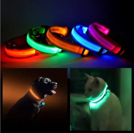 CJDropshipping Pet Supplies BLUE / LARGE LED Light-Up Pet Safety Halo Collar for Night Walking