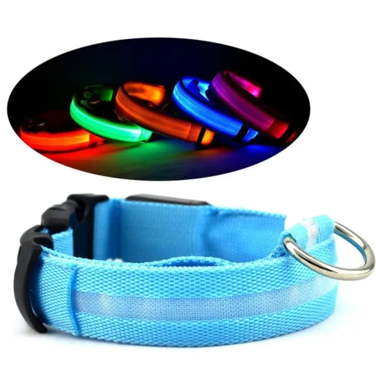 CJDropshipping Pet Supplies LED Light-Up Pet Safety Halo Collar for Night Walking