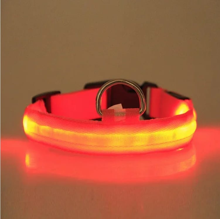 CJDropshipping Pet Supplies LED Light-Up Pet Safety Halo Collar for Night Walking