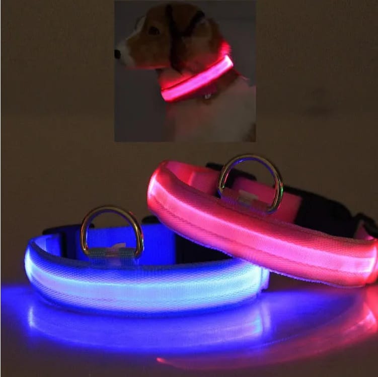 CJDropshipping Pet Supplies LED Light-Up Pet Safety Halo Collar for Night Walking