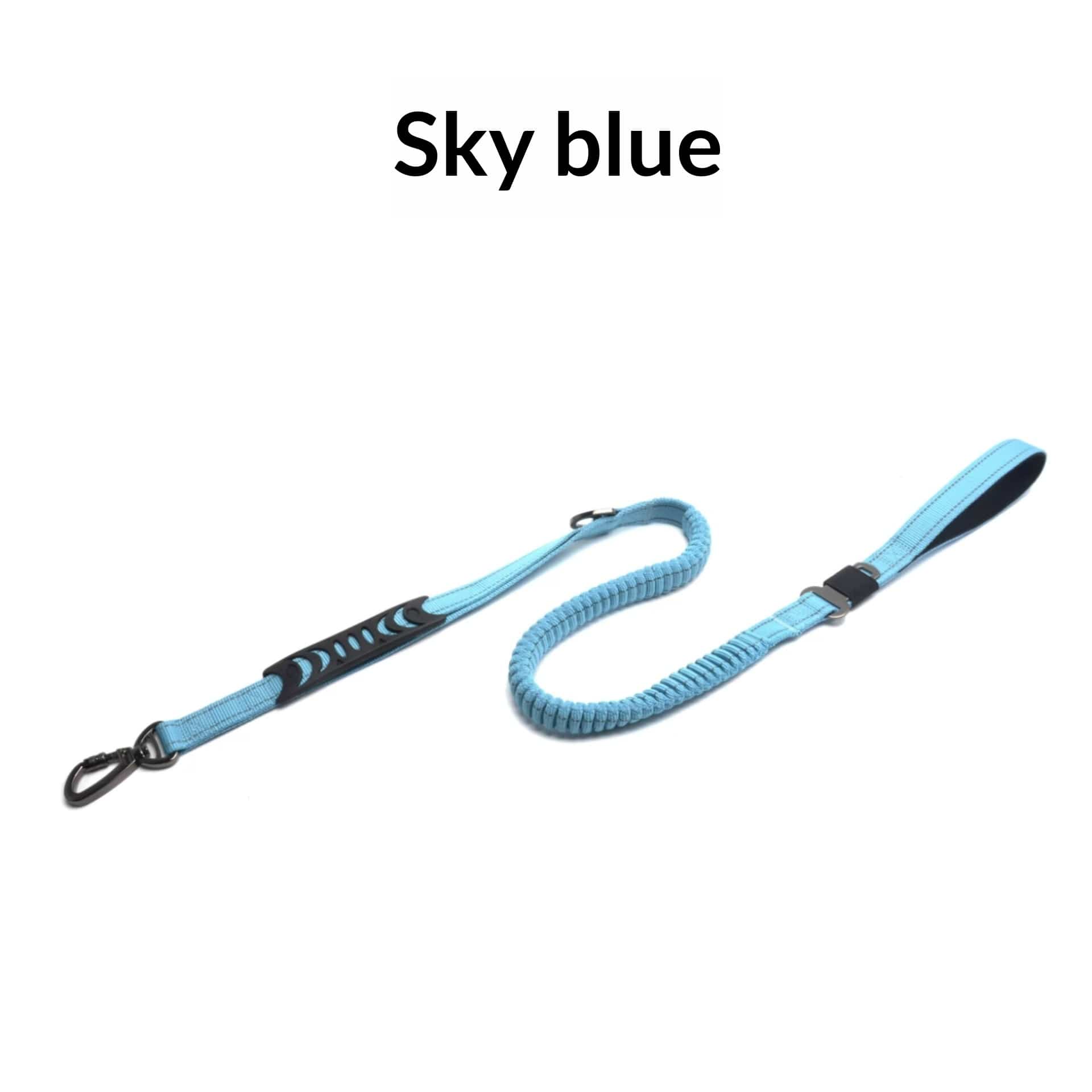 Dropshipman Pet Supplies Lake Blue / 2.5CMX116CM to180CM Dog Elastic Anti-Pull Leash - Heavy Duty Shock Absorbing Lead