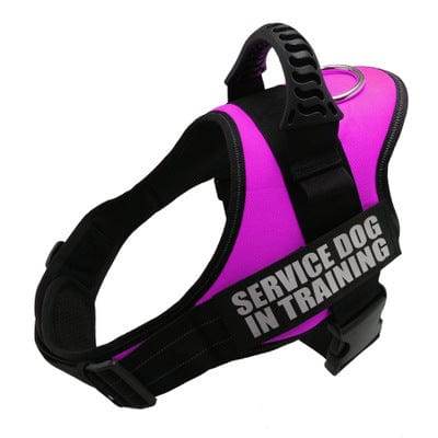 Reflective Breathable Dog Harness NO PULL Vest With Patch (Adjustable) - This & That Store