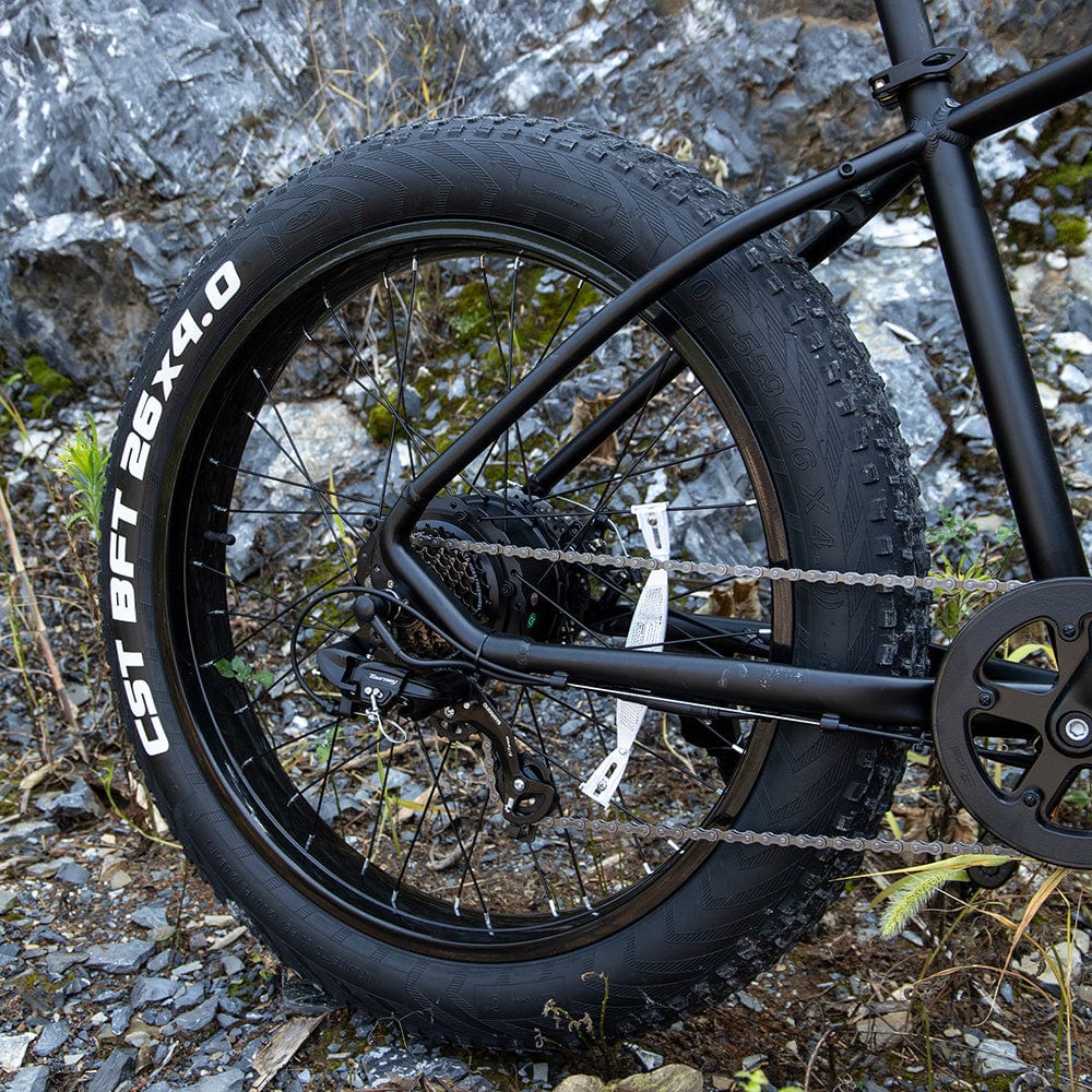 This & That Store E-Bike Black Professional Electric Bike For Adults, 26 X 4.0 Inches Fat Tire Mountain Bicycle, 1000W Motor 48V 15Ah UL And GCC Certified