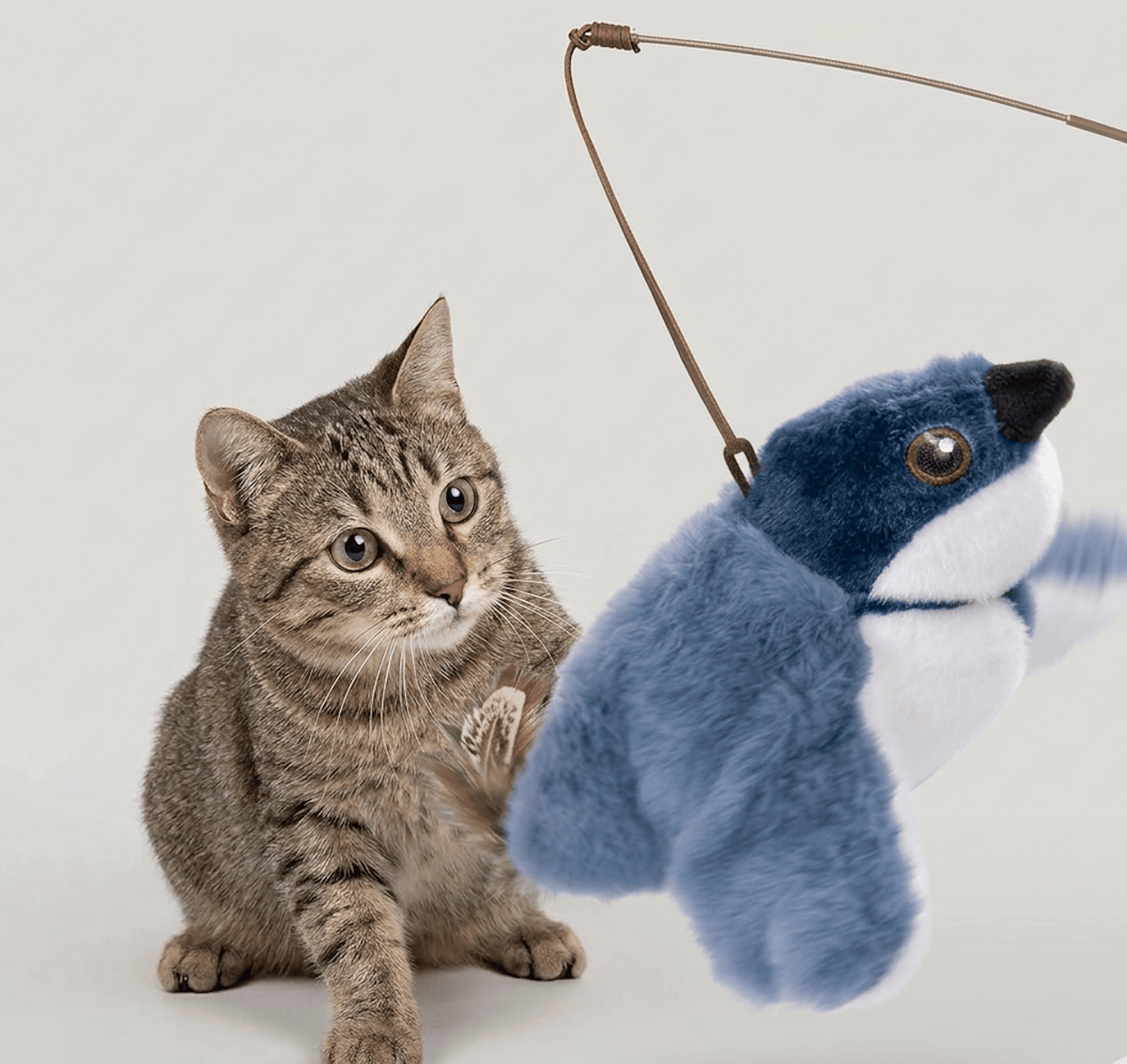 This & That Store Flapping Bird Cat  Toy