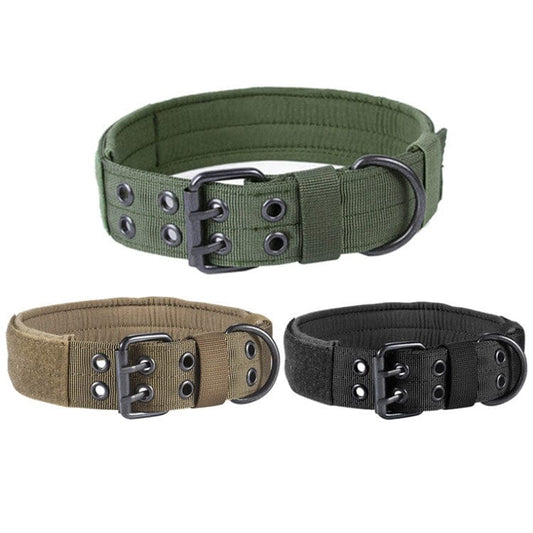 This & That Store Pet Supplies Durable Nylon Anti-Grind Dog Leash Collar – Heavy Duty & Chew Resistant for All Breeds