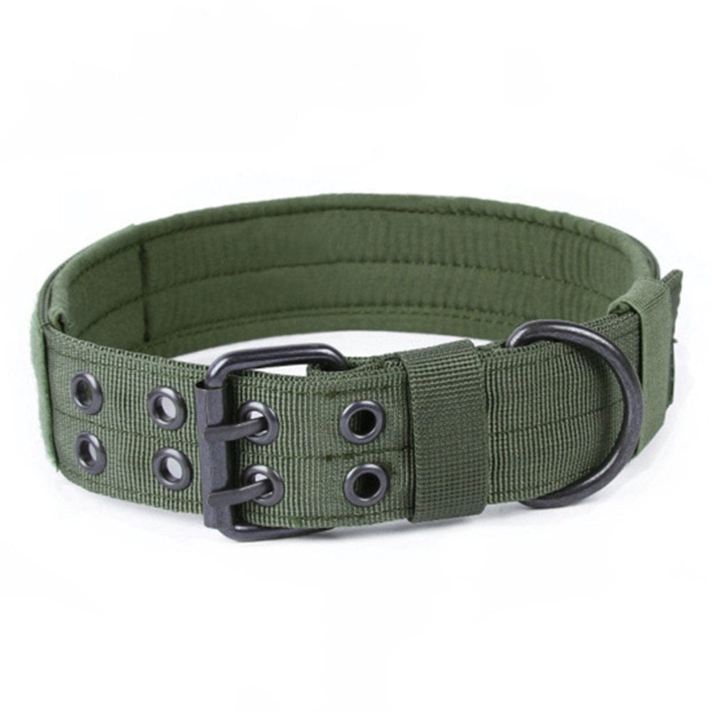 This & That Store Pet Supplies Green / M Durable Nylon Anti-Grind Dog Leash Collar – Heavy Duty & Chew Resistant for All Breeds